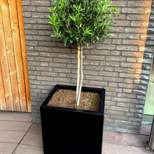 Gepoedercoat staal plantenbak Rechthoek 30x40 H=30 cm - Zwart (RAL9005) MET bodemplaat + 4 wielen