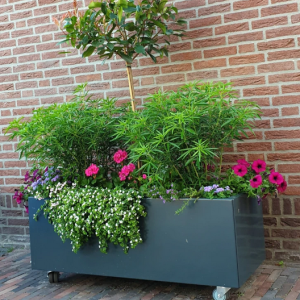 Gepoedercoat staal plantenbak Rechthoek 60x100 H=40 cm - Andere RALkleur - ZONDER bodemplaat