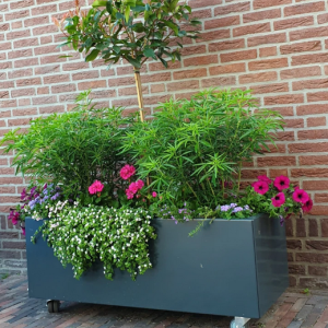 Gepoedercoat staal plantenbak Rechthoek XL 150x50 H=30 cm - Andere RALkleur - ZONDER bodemplaat