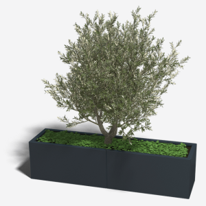 Gepoedercoat staal plantenbak Rechthoek XL 160x40 H=30 cm - Zwart (RAL9005) ZONDER bodemplaat