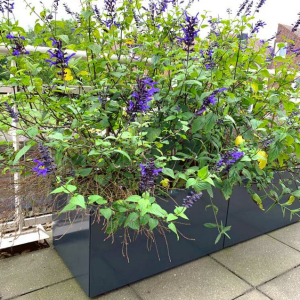 Gepoedercoat staal plantenbak Rechthoek XL 160x50 H=30 cm - Antraciet (RAL7016) MET bodemplaat