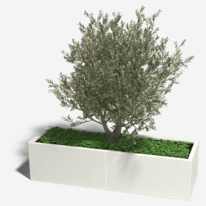 Gepoedercoat staal plantenbak Rechthoek XL 160x50 H=30 cm - Wit (RAL9010) ZONDER bodemplaat