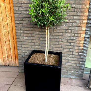 Gepoedercoat staal plantenbak Rechthoek 30x40 H=40 cm - Zwart (RAL9005) MET bodemplaat