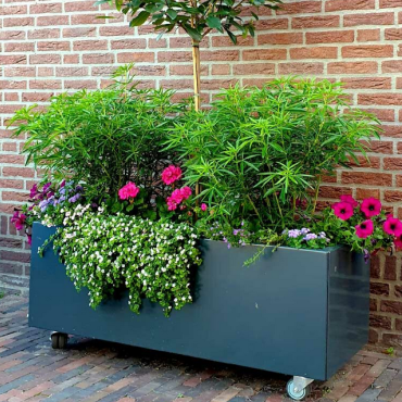 Gepoedercoat staal plantenbak Rechthoek 50x120 H=60 cm - Antraciet (RAL7016) ZONDER bodemplaat